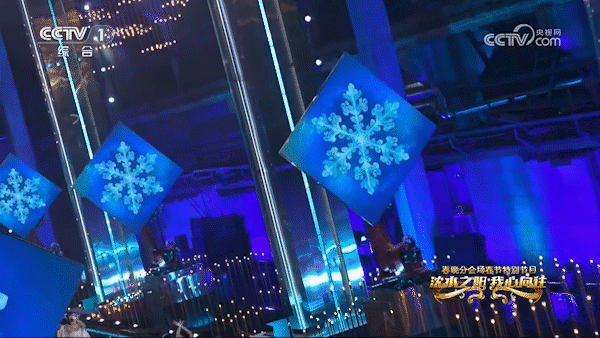 沈陽分會場——白雪花.gif